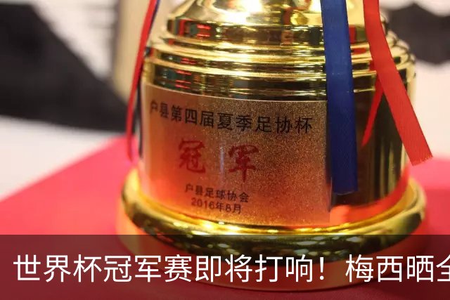 世界杯冠军赛即将打响！梅西晒全队大合照展望决赛：不论结果如何，我们都已书写历史；决赛斯洛文尼亚温契奇主哨；18条关键信息速览→