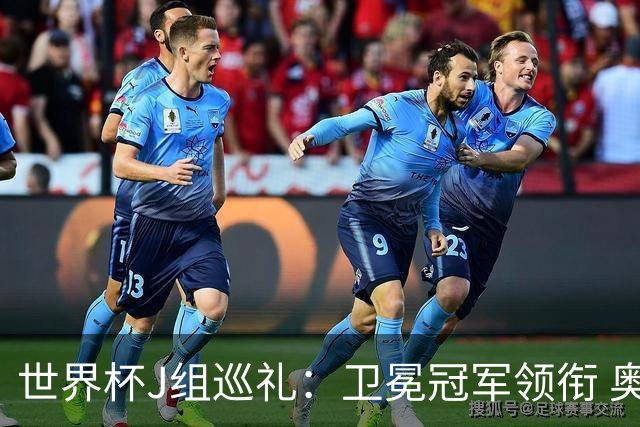 世界杯J组巡礼：卫冕冠军领衔 奥地利终进正赛