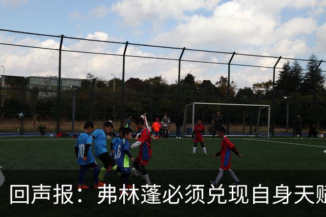 回声报：弗林蓬必须兑现自身天赋，伊劳拉上任给了他全新的机会