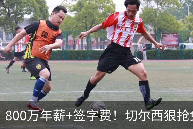 800万年薪+签字费！切尔西狠抢免签神锋，这次是捡宝还是接盘？